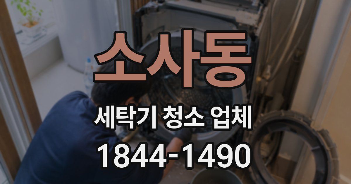 소사동 세탁기 청소 업체