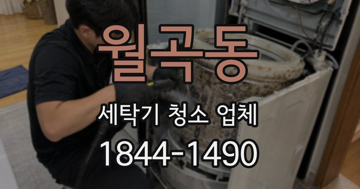 월곡동 세탁기 청소 업체