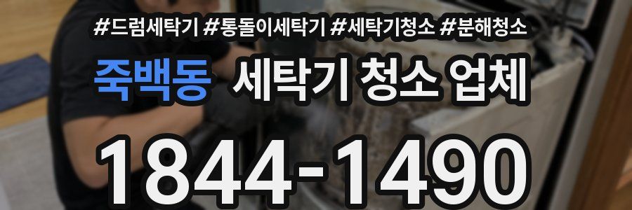 죽백동 세탁기 청소 업체