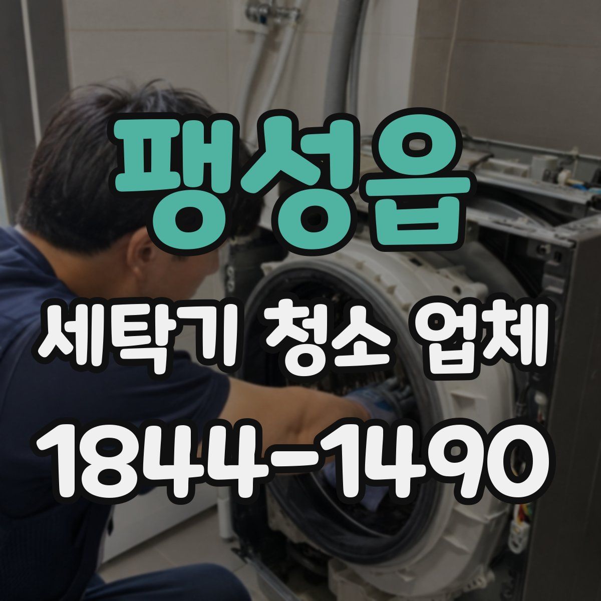 팽성읍 세탁기 청소 업체