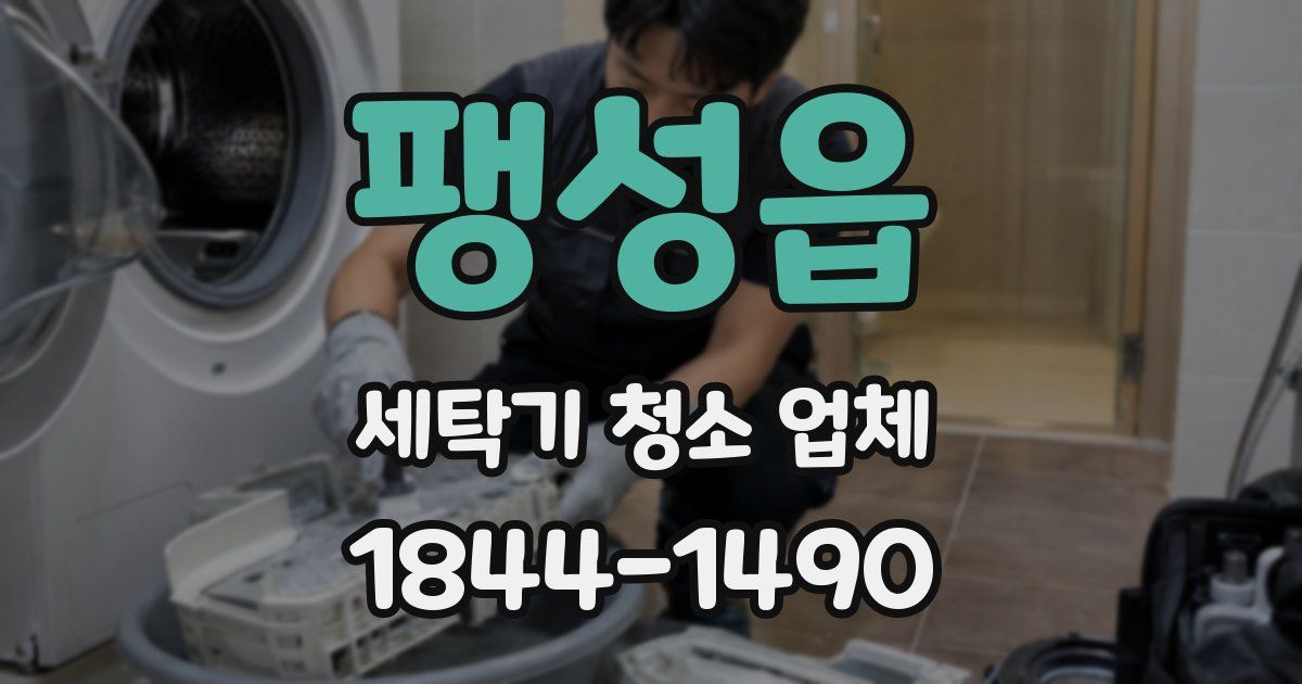 팽성읍 세탁기 청소 업체