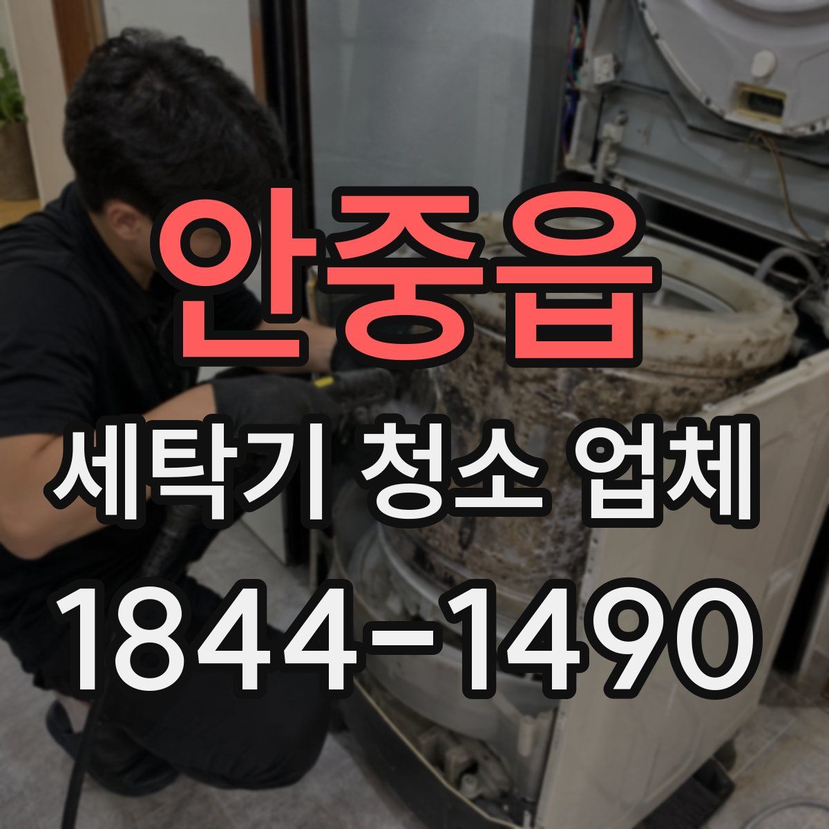 안중읍 세탁기 청소 업체