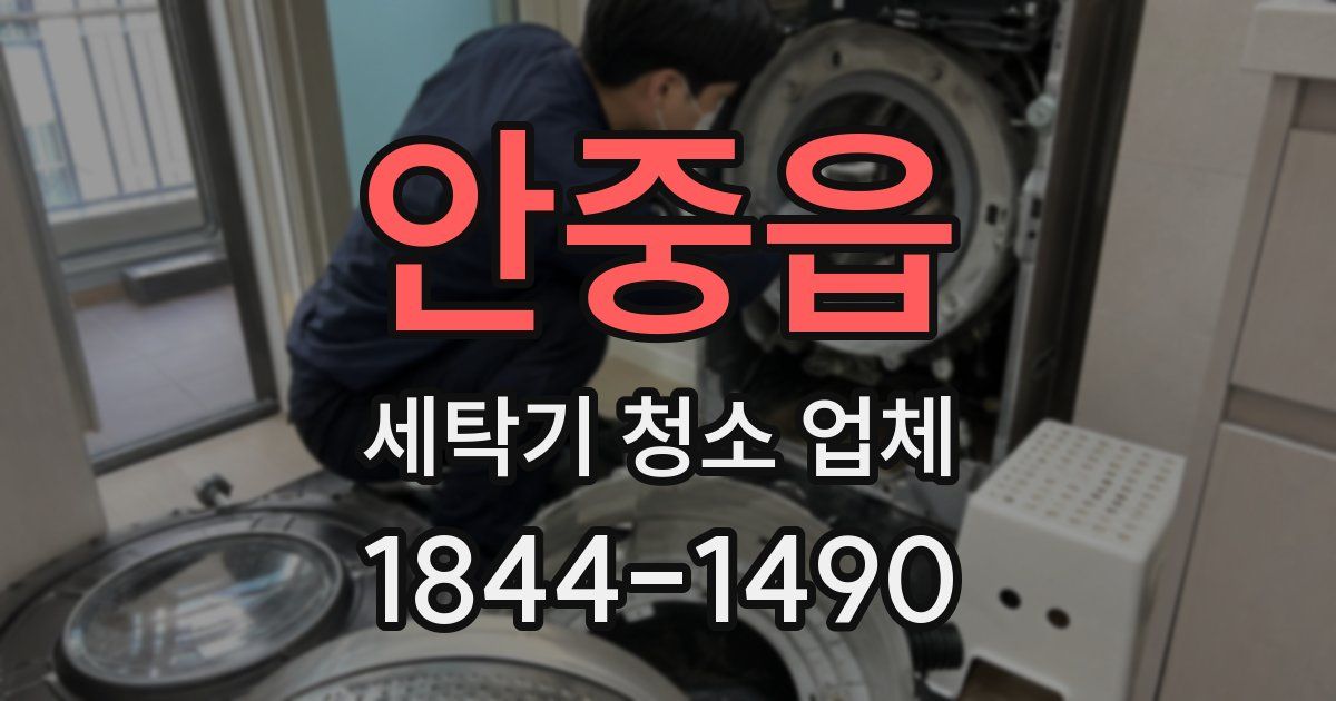 안중읍 세탁기 청소 업체