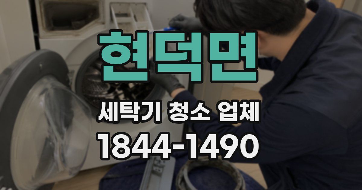 현덕면 세탁기 청소 업체