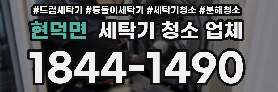 현덕면 세탁기 청소 업체