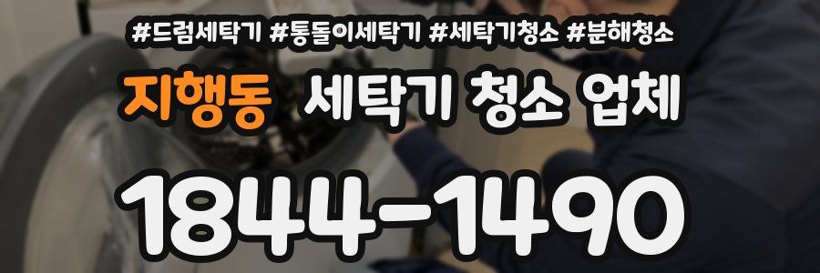 지행동 세탁기 청소 업체