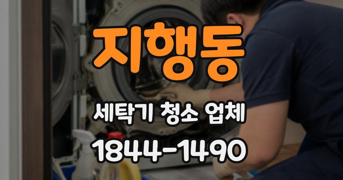 지행동 세탁기 청소 업체