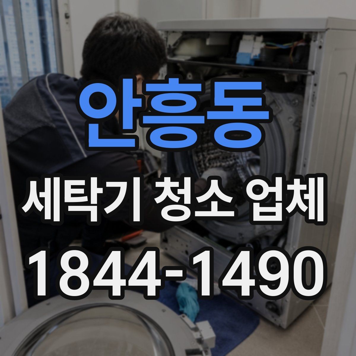안흥동 세탁기 청소 업체 분해 청소와 통세척 차이 이해하기