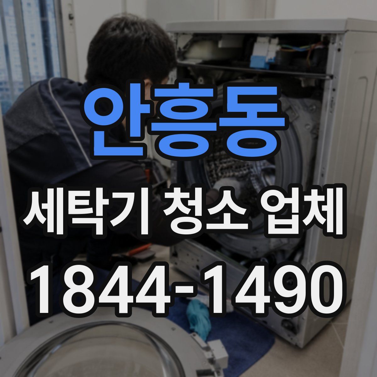 안흥동 세탁기 청소 업체