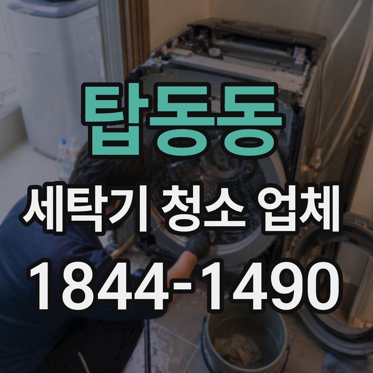 탑동동 세탁기 청소 업체