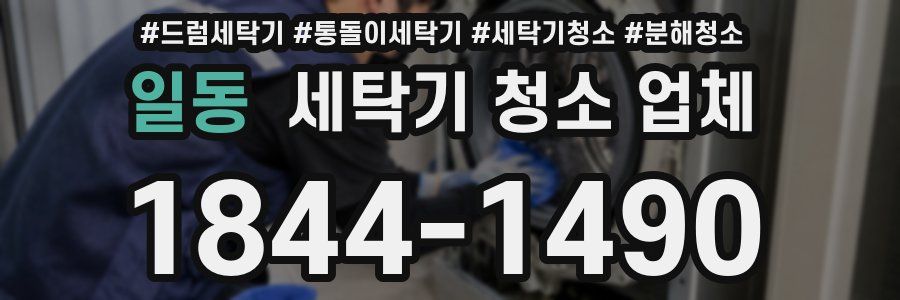 일동 세탁기 청소 업체