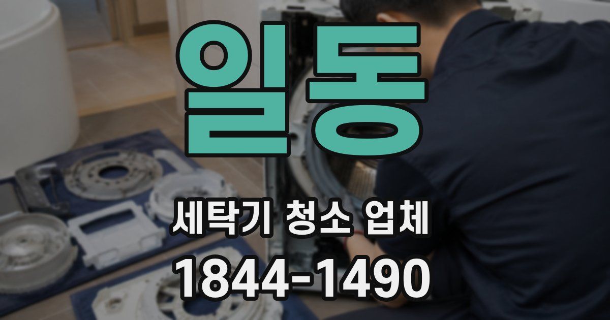 일동 세탁기 청소 업체