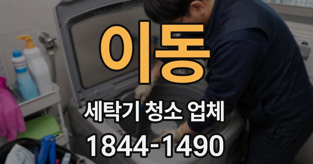 이동 세탁기 청소 업체
