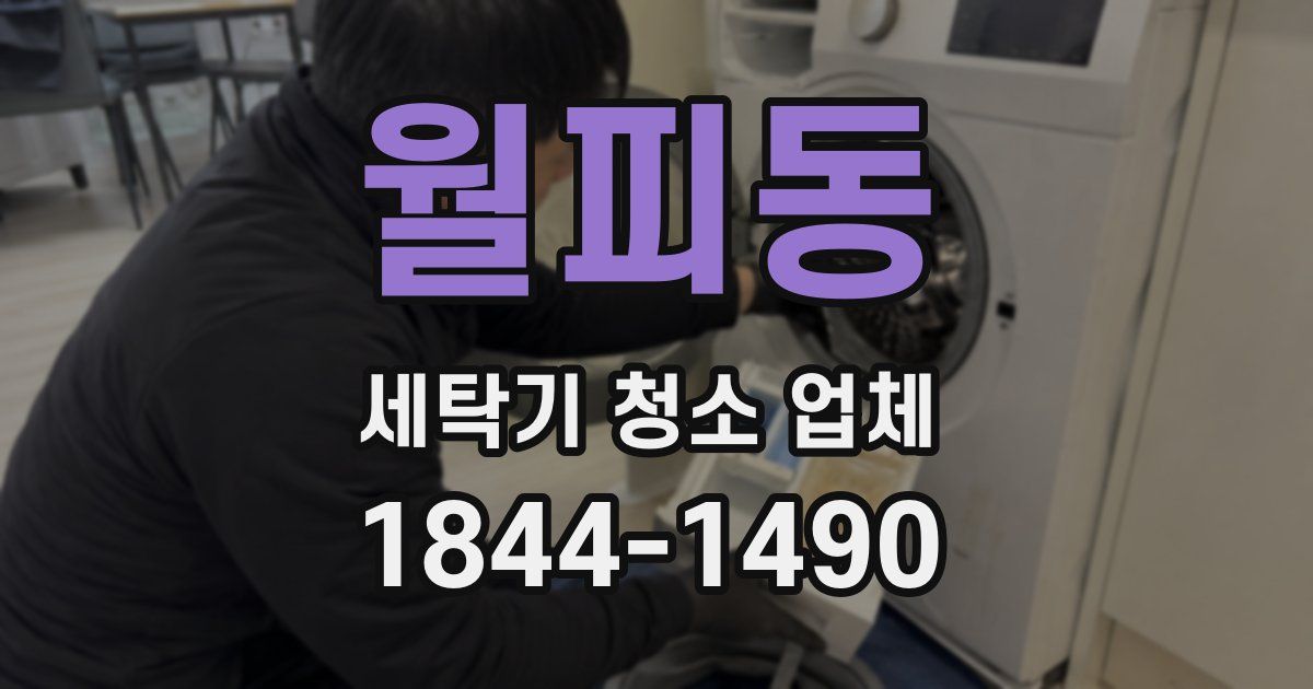 월피동 세탁기 청소 업체