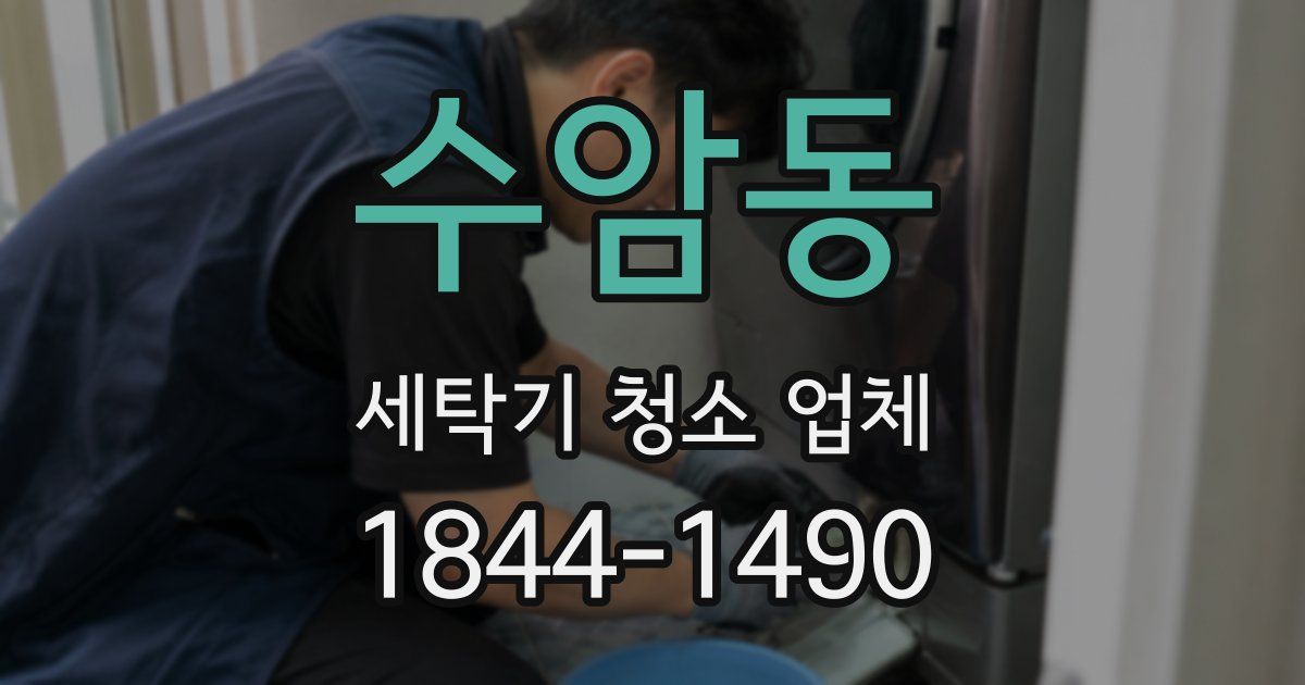 수암동 세탁기 청소 업체