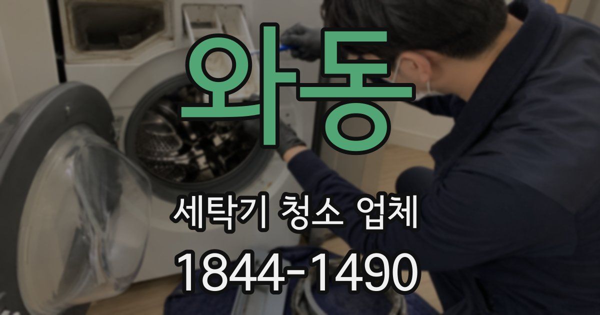 와동 세탁기 청소 업체