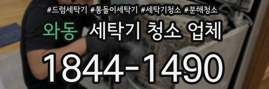 와동 세탁기 청소 업체