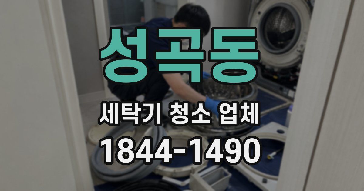 성곡동 세탁기 청소 업체