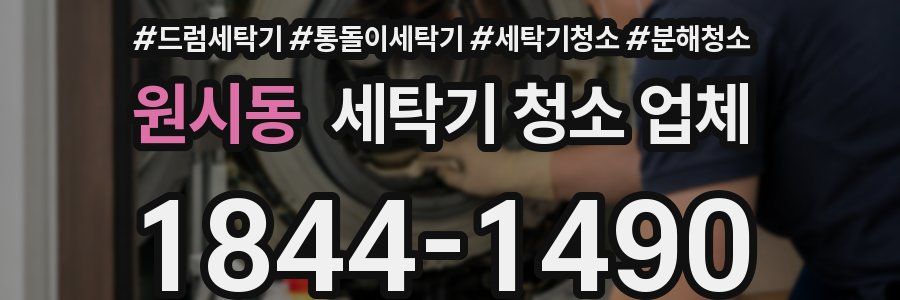 원시동 세탁기 청소 업체