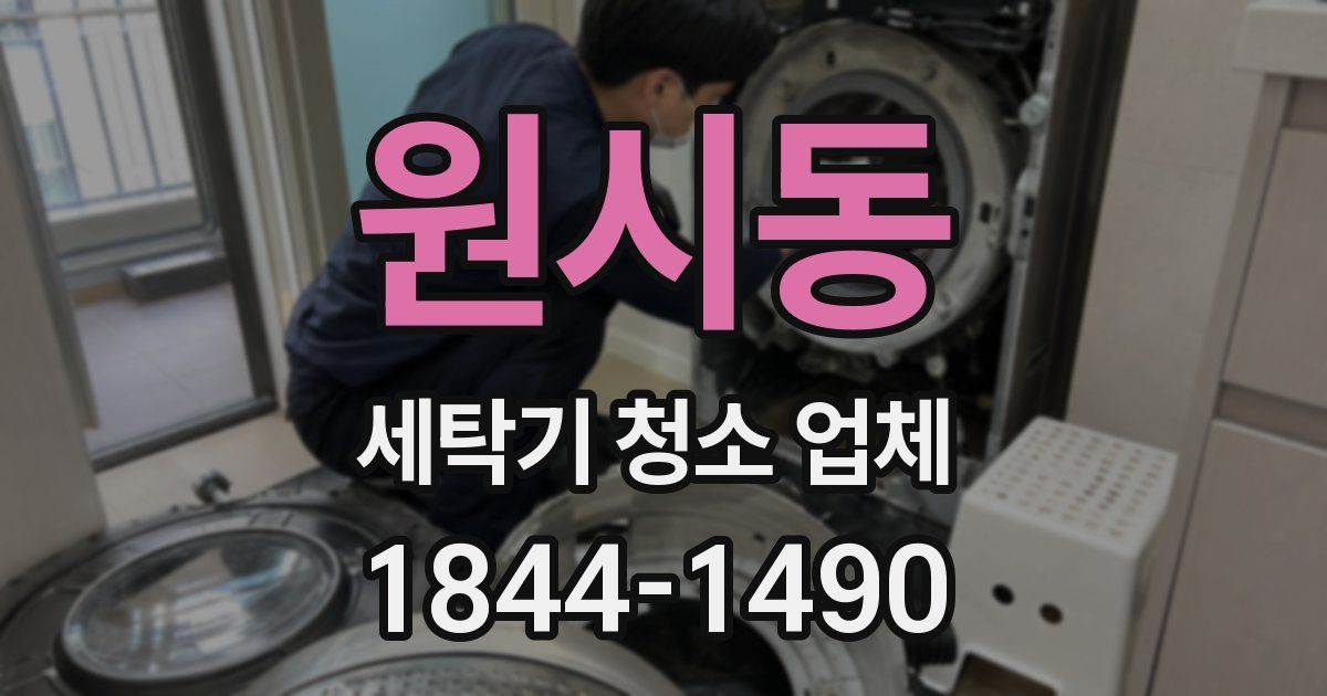 원시동 세탁기 청소 업체
