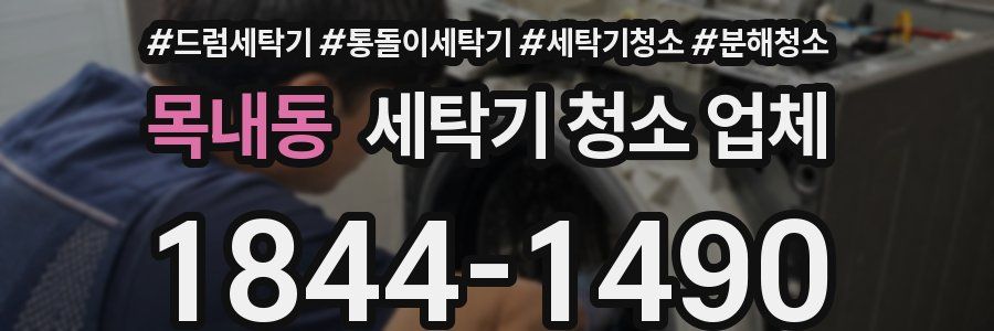 목내동 세탁기 청소 업체