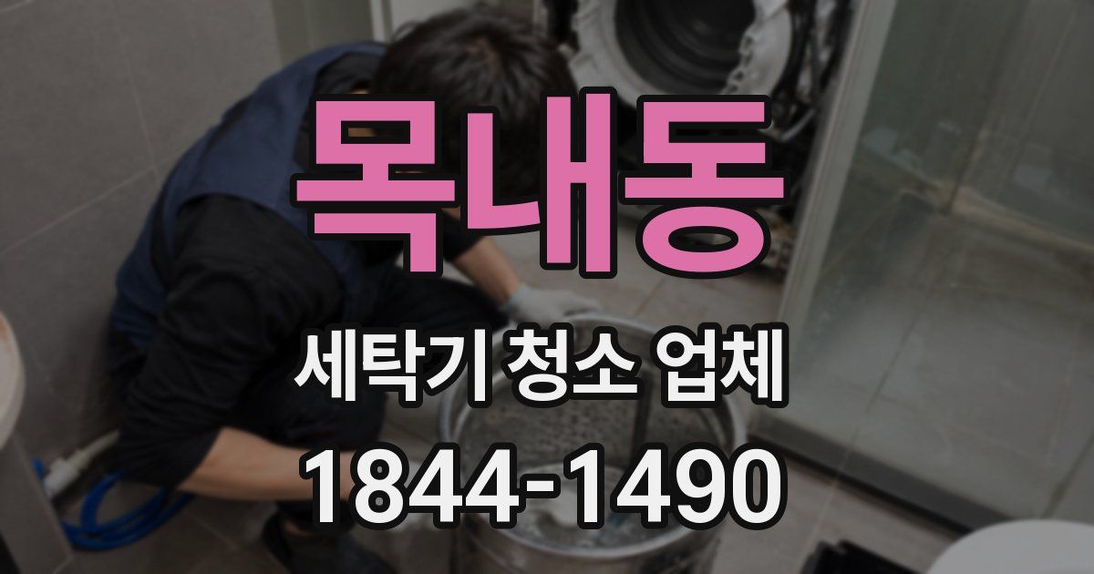 목내동 세탁기 청소 업체
