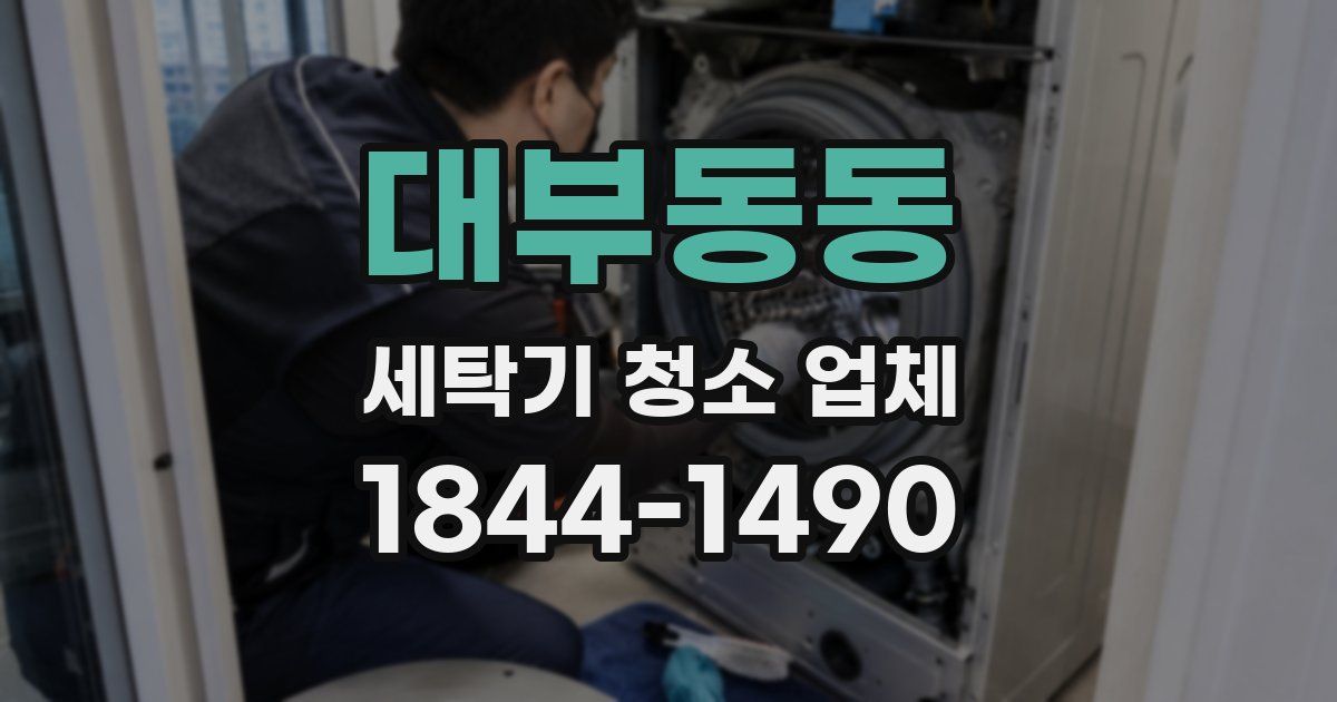 대부동동 세탁기 청소 업체