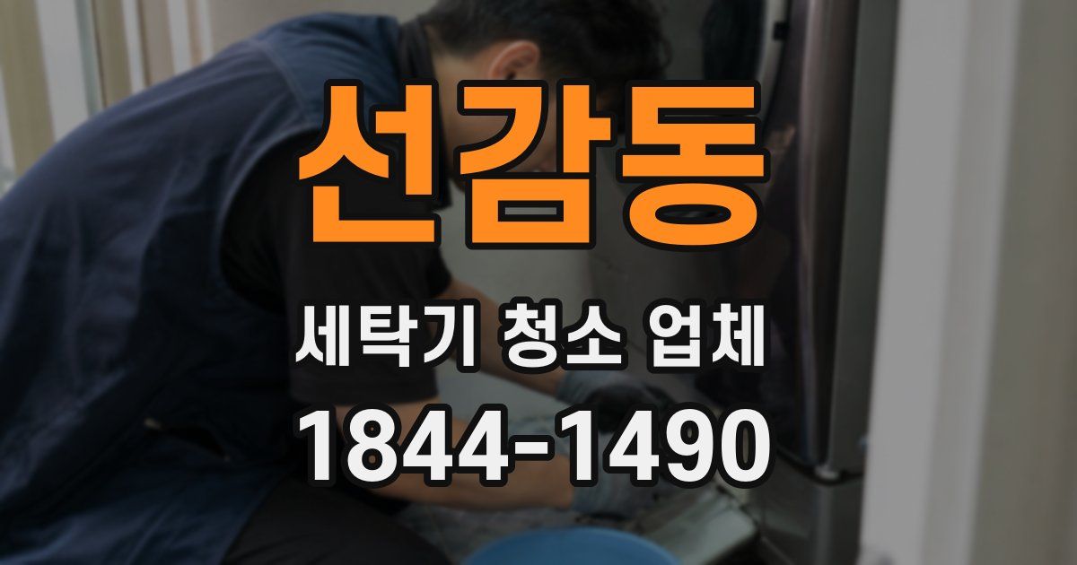 선감동 세탁기 청소 업체