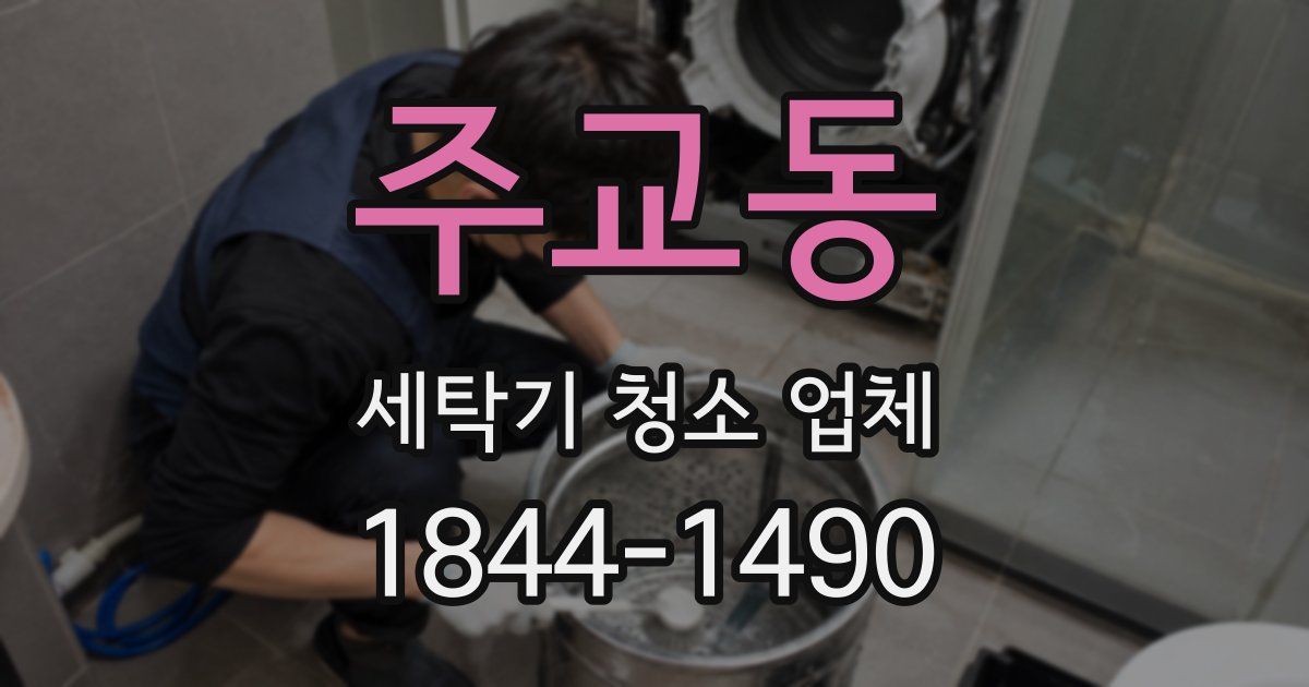 주교동 세탁기 청소 업체