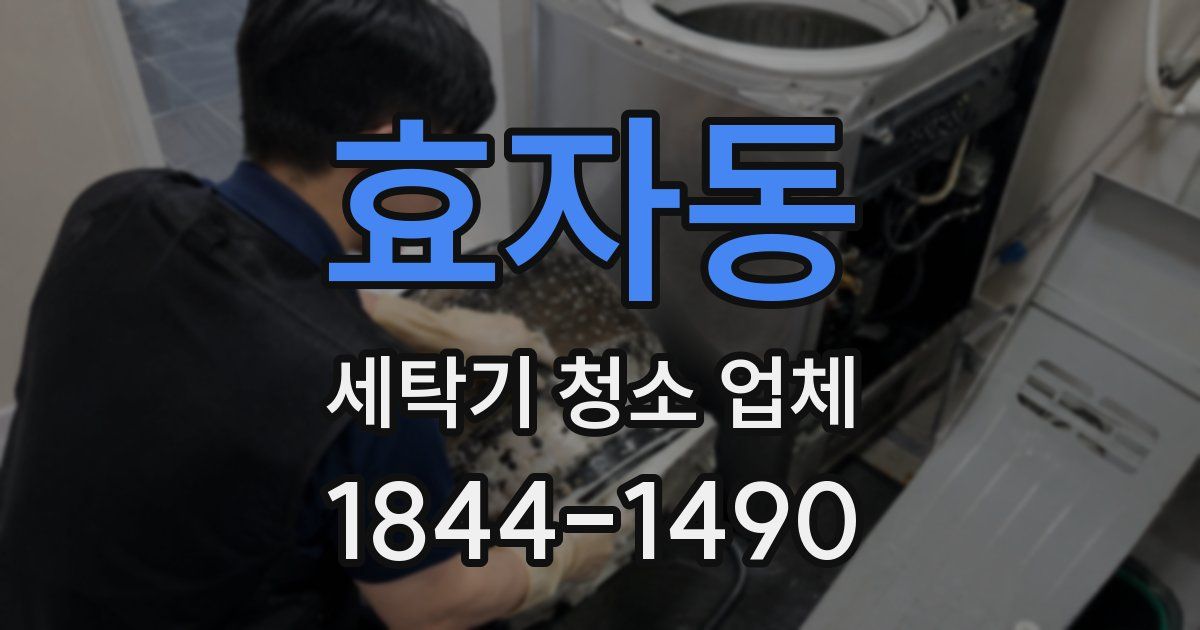 효자동 세탁기 청소 업체