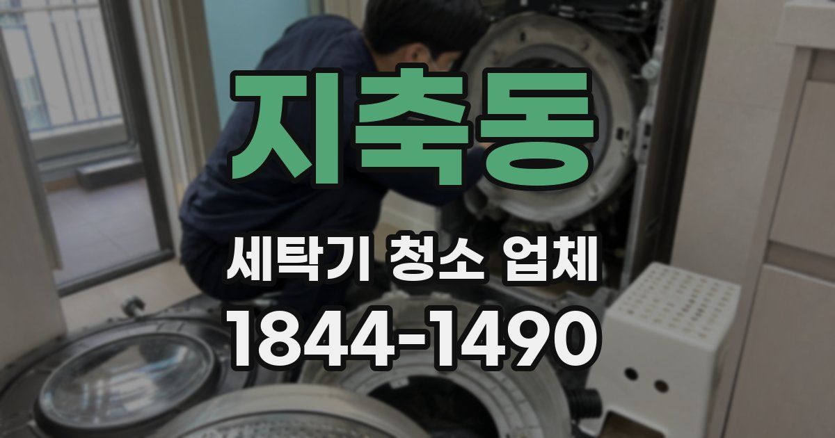 지축동 세탁기 청소 업체