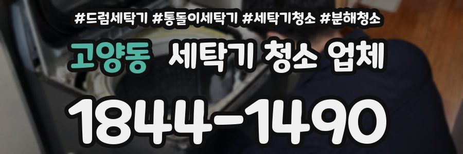 고양동 세탁기 청소 업체