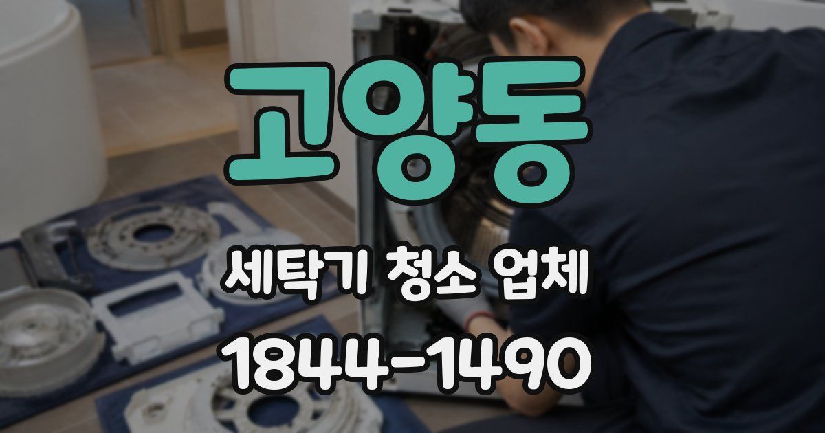 고양동 세탁기 청소 업체