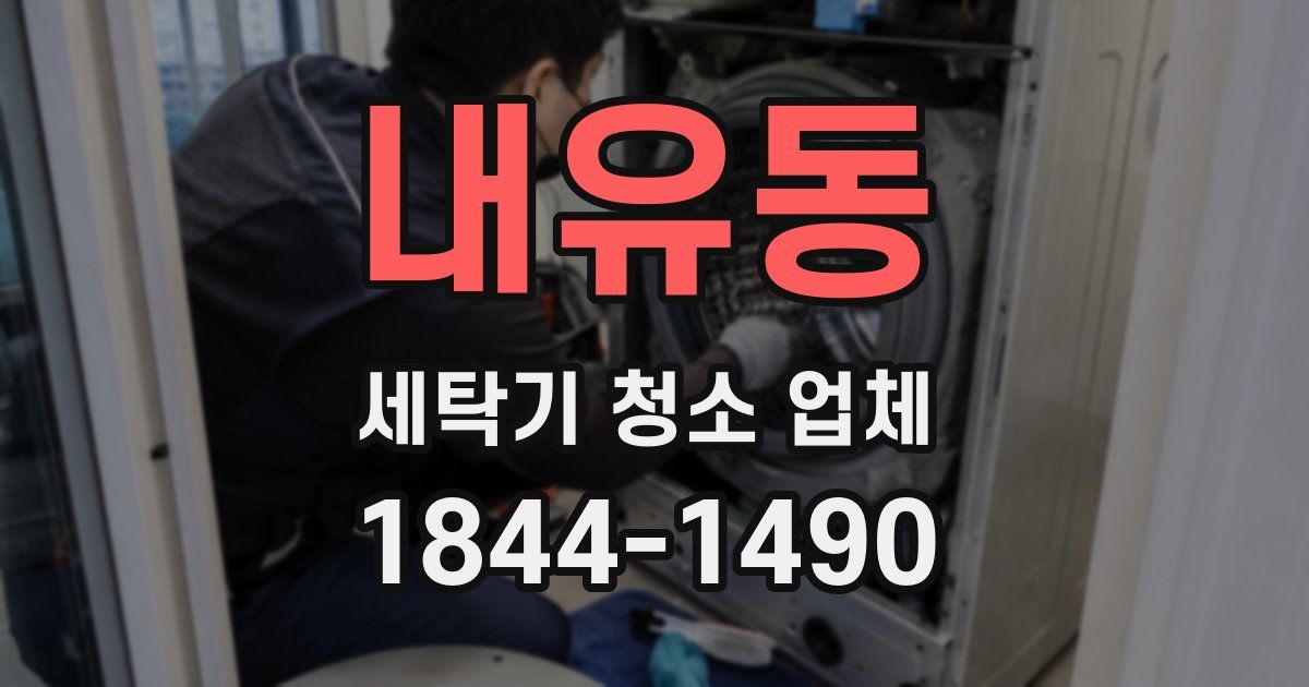 내유동 세탁기 청소 업체