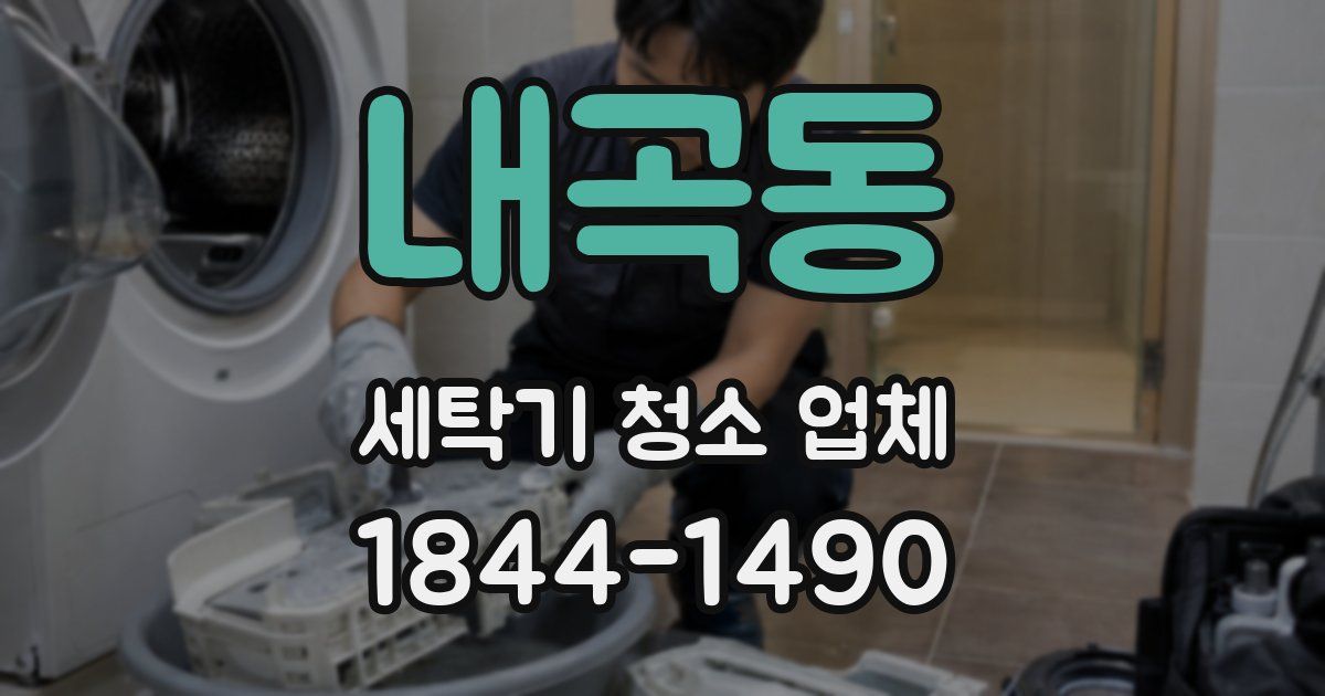 내곡동 세탁기 청소 업체