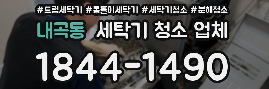 내곡동 세탁기 청소 업체