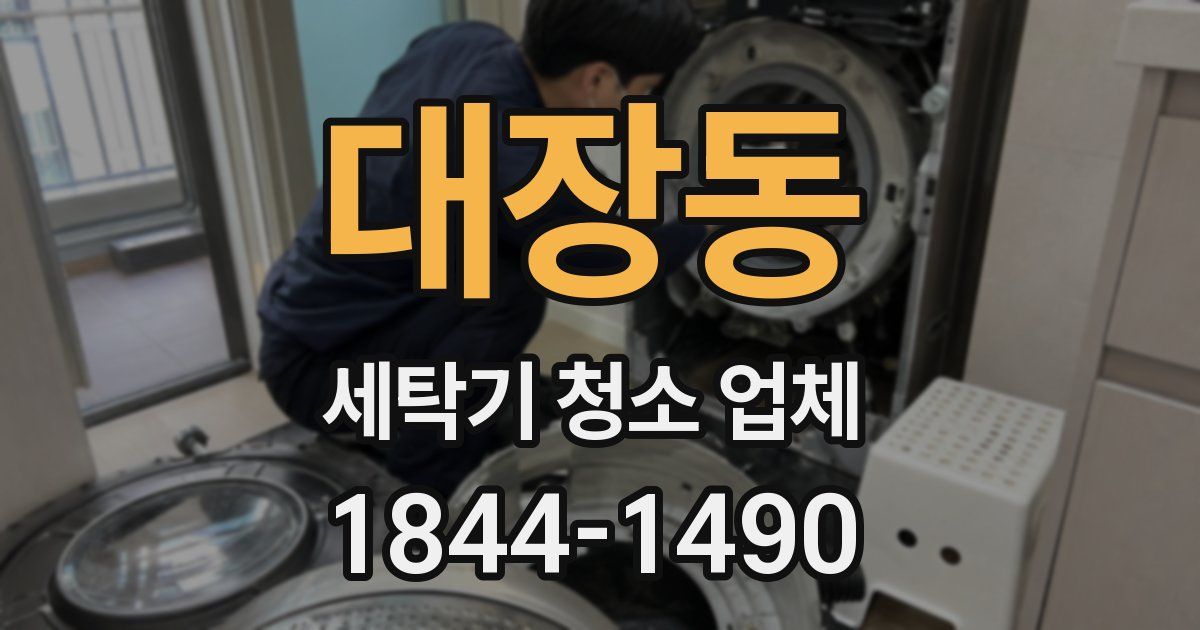 대장동 세탁기 청소 업체