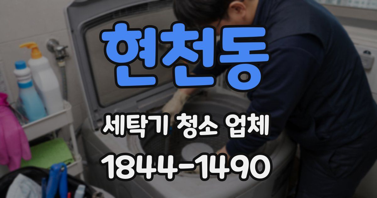 현천동 세탁기 청소 업체