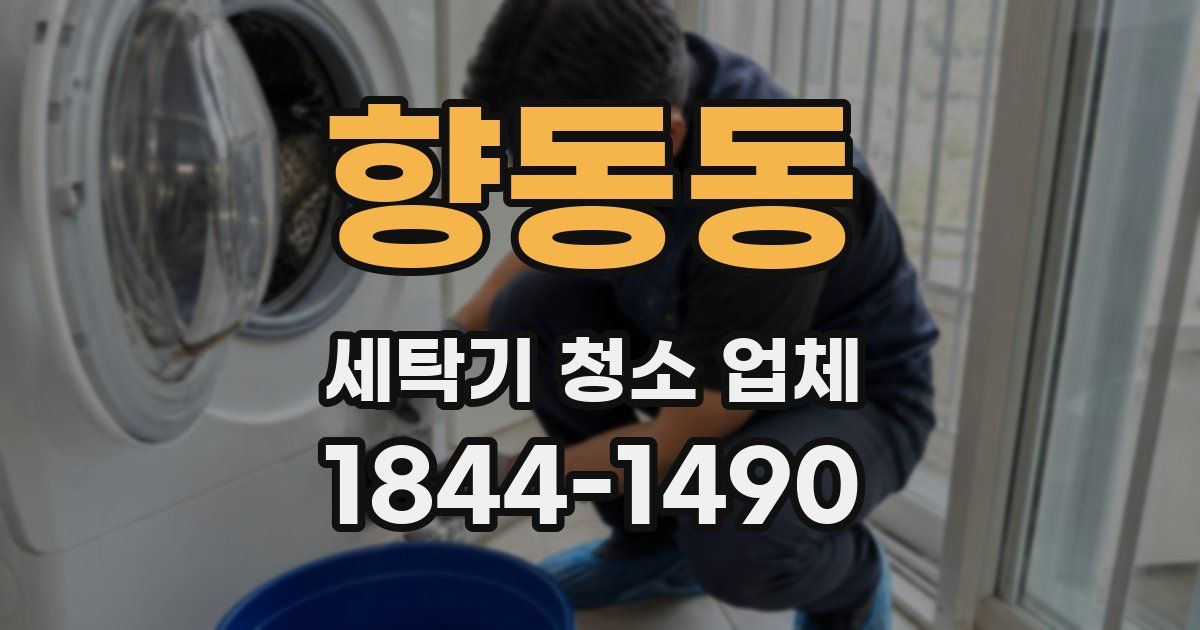향동동 세탁기 청소 업체