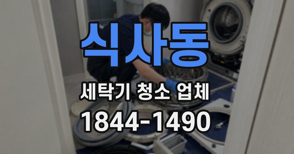 식사동 세탁기 청소 업체