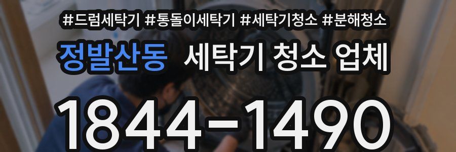 정발산동 세탁기 청소 업체