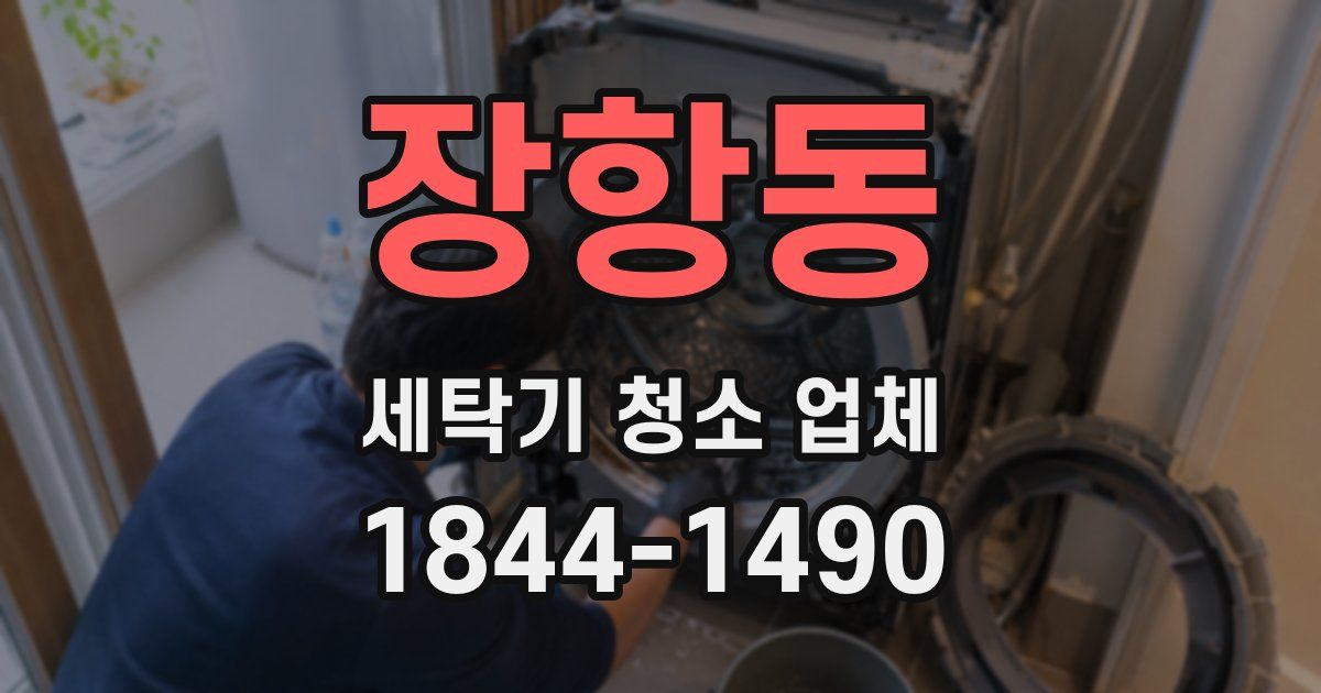 장항동 세탁기 청소 업체