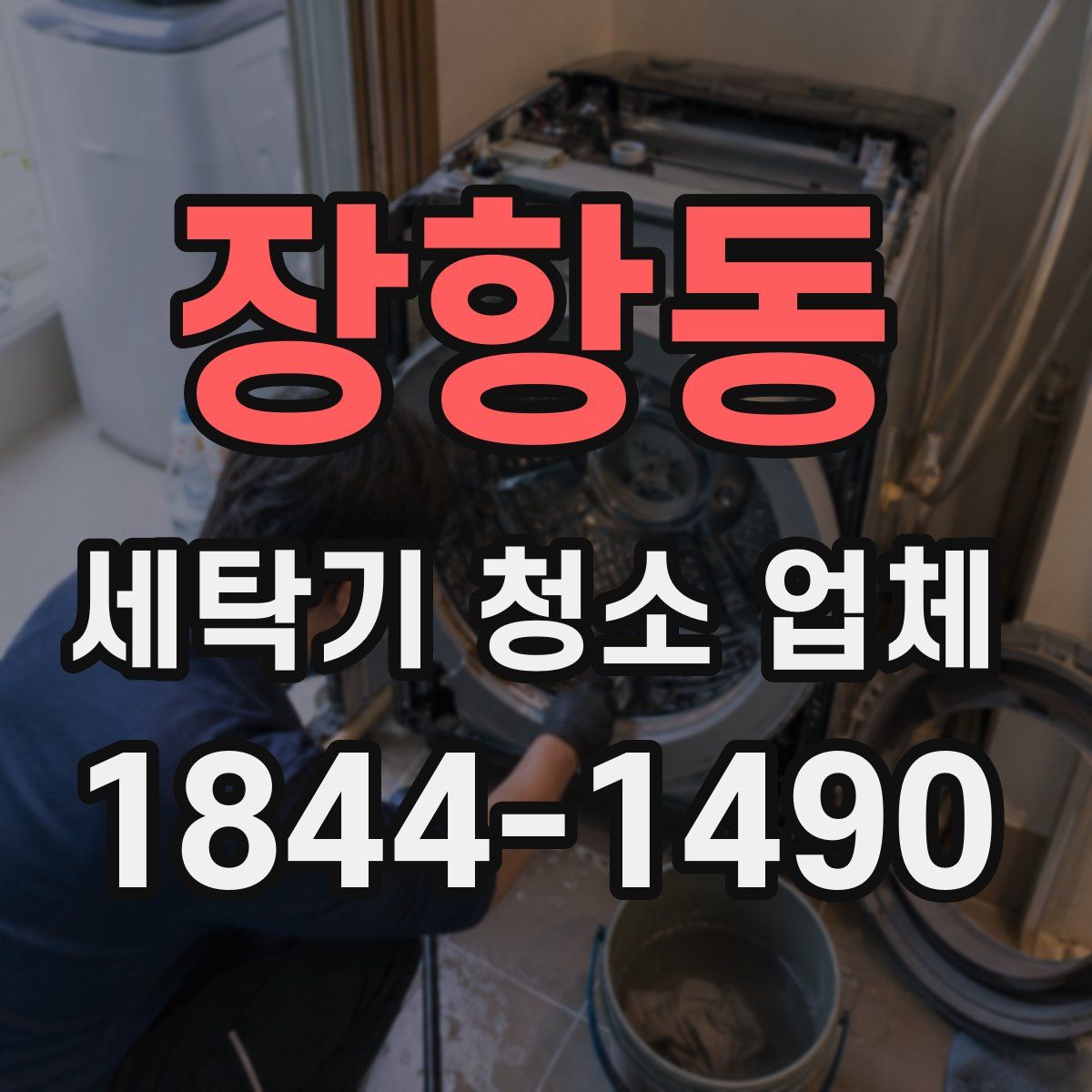 장항동 세탁기 청소 업체