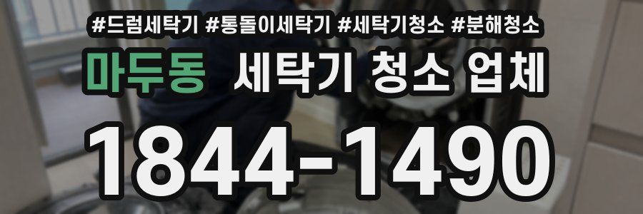 마두동 세탁기 청소 업체