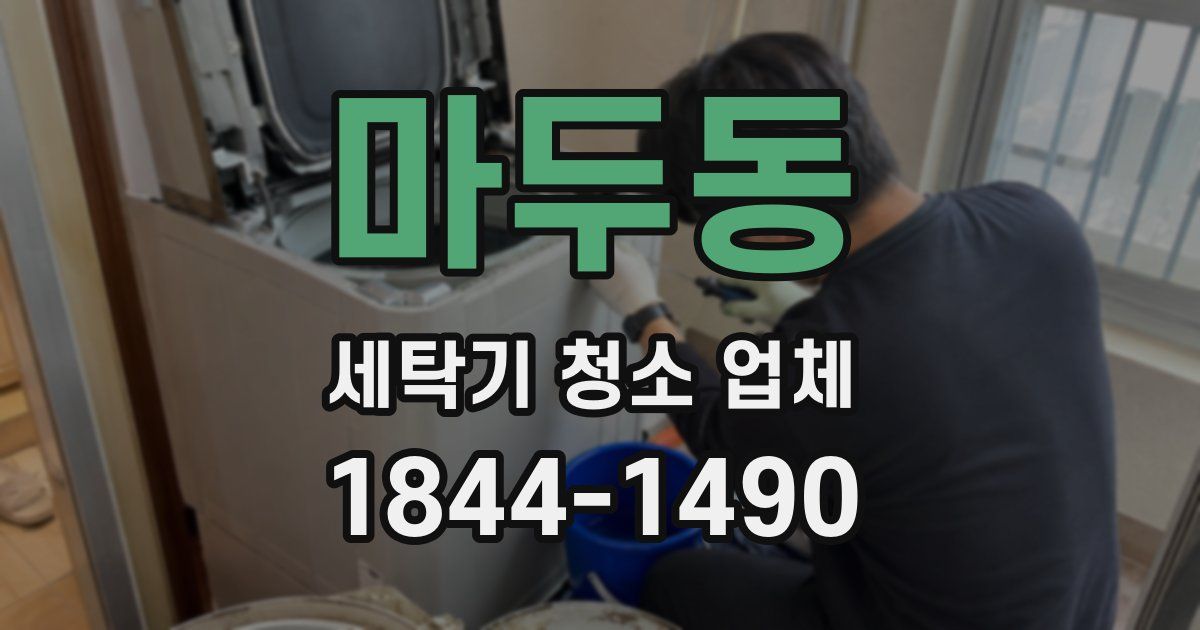 마두동 세탁기 청소 업체