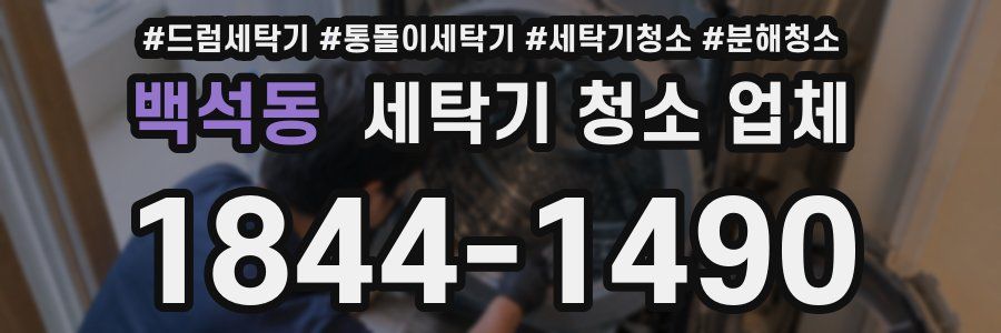 백석동 세탁기 청소 업체