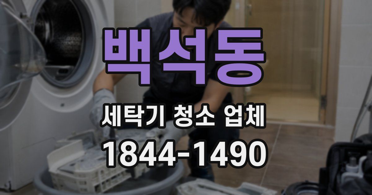 백석동 세탁기 청소 업체