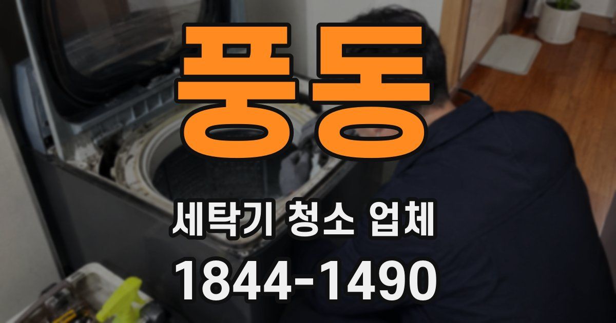 풍동 세탁기 청소 업체