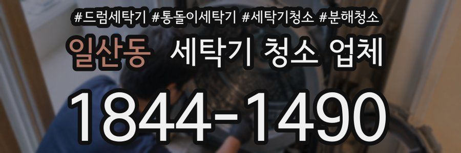 일산동 세탁기 청소 업체