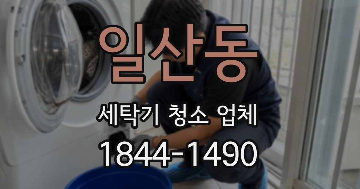 일산동 세탁기 청소 업체